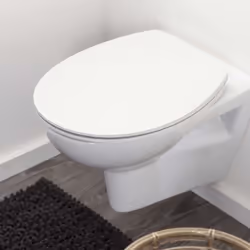 Tiger Toilet Seat Blade White Thin Slim Line Design Bathroom Bidet Seat Kit