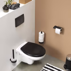 Tiger Bathroom Toilet Brush and Holder Bold Matt Black Finish Cleaning Bowl