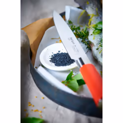 Dick Red Spirit Stainless steel 1 pc(s) Fillet knife