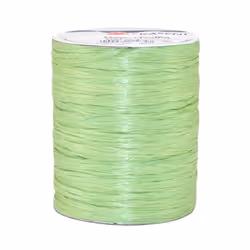 Pattberg RAYON RAFFIA 100-m-spool, Green, Viscose, 100 m, 1 pc(s)