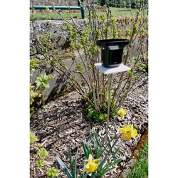 TFA-Dostmann DROP rain gauge 10 m Wireless Black - Additional view 5