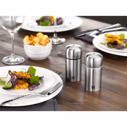 ZWILLING 39500-025-0 seasoning grinder Salt & pepper grinder set Stainless steel