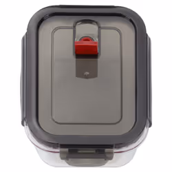 ZWILLING 39506-001 Square Box 0.6 L Transparent 1 pc(s)