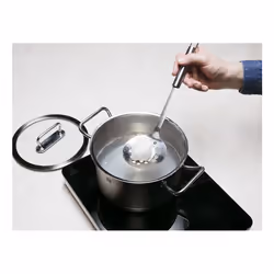 ZWILLING Pro ladle Silver