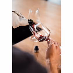 ZWILLING FRESH & SAVE wine preserving pump 3 cm Plastic, Silicone, Stainless steel - Additional view 7