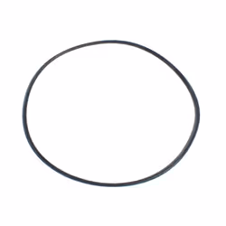 Cannister Seal O Ring for Filtoclear 3000 - 15000 (Part 24812)