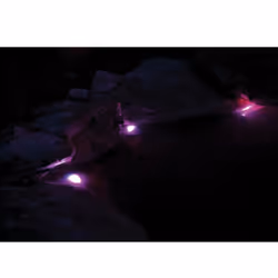 Pontec Pondostar LED RGWB Set of 3 Pond Lighting Colour Changing Underwater Spot Lights Submersible Garden Lamp Controllable Light Waterproof Remote