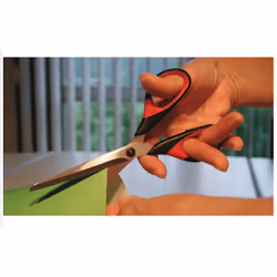 BESSEY D821-160 stationery/craft scissors Universal Straight cut Black, Red