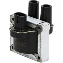 NGK 48013 Ignition and Heating System
