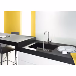 Hansgrohe 31820000 kitchen faucet Chrome