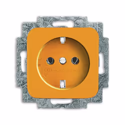 Busch-Jaeger 4011395195000, Type F, 2P+E, Orange, 250 V, 16 A