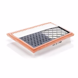 Mann Filter C25004 Air Filter