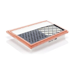 Mann Filter C25004 Air Filter