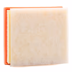 MANN-FILTER C 21 002 Air filter 68 188 208 Filter Insert JEEP: Compass, Renegade Off-Road, FIAT: 500X