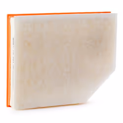 MANN-FILTER C 29 021 Air filter 60 234 285, 199 Filter Insert VOLVO: V60 II, S90 II, XC60 II