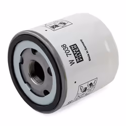 MANN-FILTER W 7038 Oil filter M22x1.5-6H Spin-on Filter FORD: Transit Mk7 Van, Transit Mk7 Platform / Chassis, Transit Mk7 Minibus