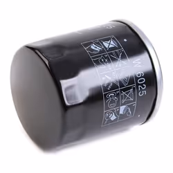 MANN-FILTER W 6025 Oil filter M20x1.5 with one anti-return valve Spin-on Filter RENAULT: Clio 4, MEGANE 3, Kadjar, DACIA: Duster Off-Road, Duster II
