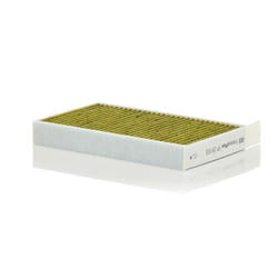 MANN-FILTER FP 25 015 Pollen filter TESLA: Model Y, Model 3