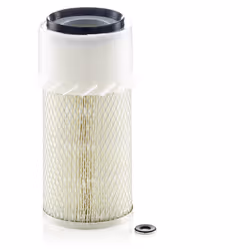 Air filter; MANN-FILTER; 290 134 Filter Insert with gasket/seal; for MITSUBISHI, FIAT; 44189N, 51655N, 207002171, 02431632, 0 ...