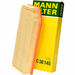 Mann Filter C38145 Air Filter
