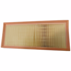 Mann Filter C3498 Air Filter