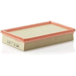 Original MANN-FILTER Air Filter C 2579 â For Passenger Cars