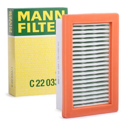MANN-FILTER C 22 033/1 Air filter 53 136 214 Filter Insert SMART: Fortwo III Coupe, Forfour II Hatchback, Fortwo III Convertible, RENAULT: Twingo 3