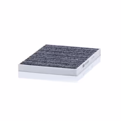 Pollen filter; MANN-FILTER; Activated Carbon Filter 253 180 20; for TESLA; 107273600A, 107273600B