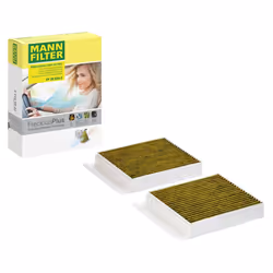 MANN-FILTER FP 25 034-2 Pollen filter MERCEDES-BENZ: S-Class Saloon