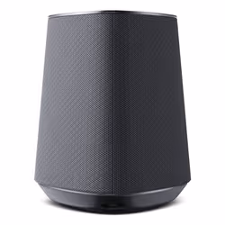 Loewe Klang MR1 Grey Wireless 30 W