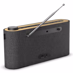 Loewe Radio. Frequency Portable Digital Grey, Wood