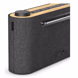 Loewe Radio. Frequency Portable Digital Grey, Wood