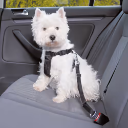 TRIXIE 1288, Dog, XS, Black