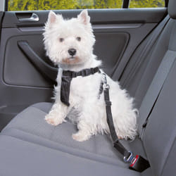 TRIXIE 1288 dog/cat harness XS Black