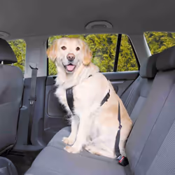 Car Harness, L: 70â90 Cm, Black - Trixie Harness Dog Sizes Safety All New - trixie car harness dog sizes safety all new ad ...