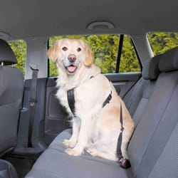 Car Harness, L: 70â90 Cm, Black - Trixie Harness Dog Sizes Safety All New -  trixie car harness dog sizes safety all new adjustable