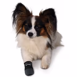 TRIXIE Walker Care Protective Boots