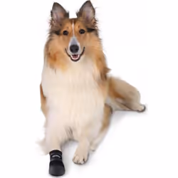 TRIXIE Walker Care Protective Boots - Additional view 4