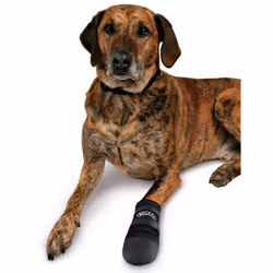 TRIXIE Walker Care Protective Boots