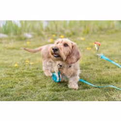 TRIXIE 2259 dog/cat lead accessory - Additional view 7