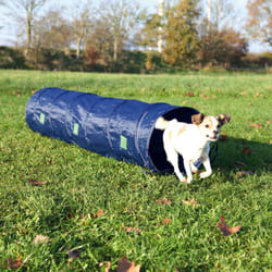 TRIXIE 3210 dog/cat agility equipment 1 pc(s) Blue Polyester Agility tunnel