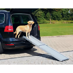 TRIXIE Petwalk Telescope Ramp