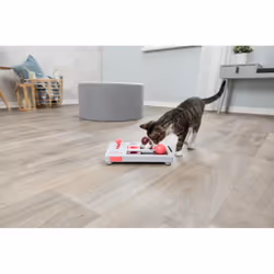 Trixie Pet Products Brain Mover Toy - Cat Activity -  trixie brain mover toy pet products cat activity - Additional view 6