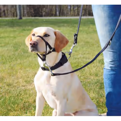 TRIXIE Top Trainer Training Harness