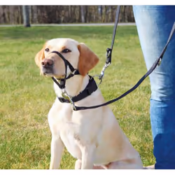 TRIXIE Top Trainer Training Harness
