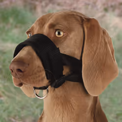 TRIXIE 19281 dog/cat muzzle
