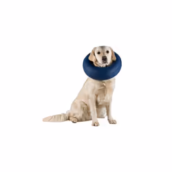 TRIXIE Protective Collar, Inflatable, Dog, Inflatable collar, Blue, Polyethylene, Polyurethane, Monochromatic, L-XL