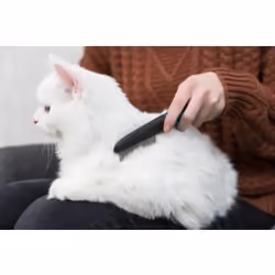 TRIXIE 23762 pet brush/comb