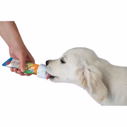 TRIXIE 24555 dog drinking bottle