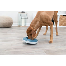 TRIXIE 25285 small animal bowl